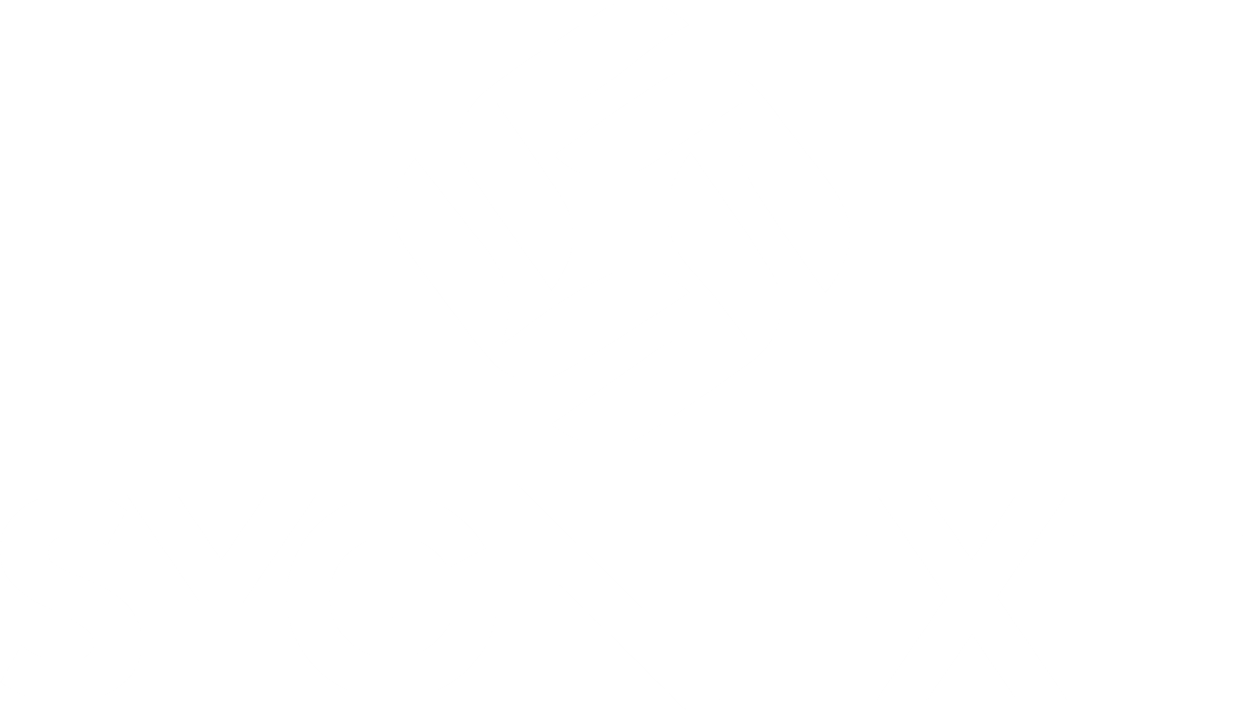 Sygnext Software Development Company