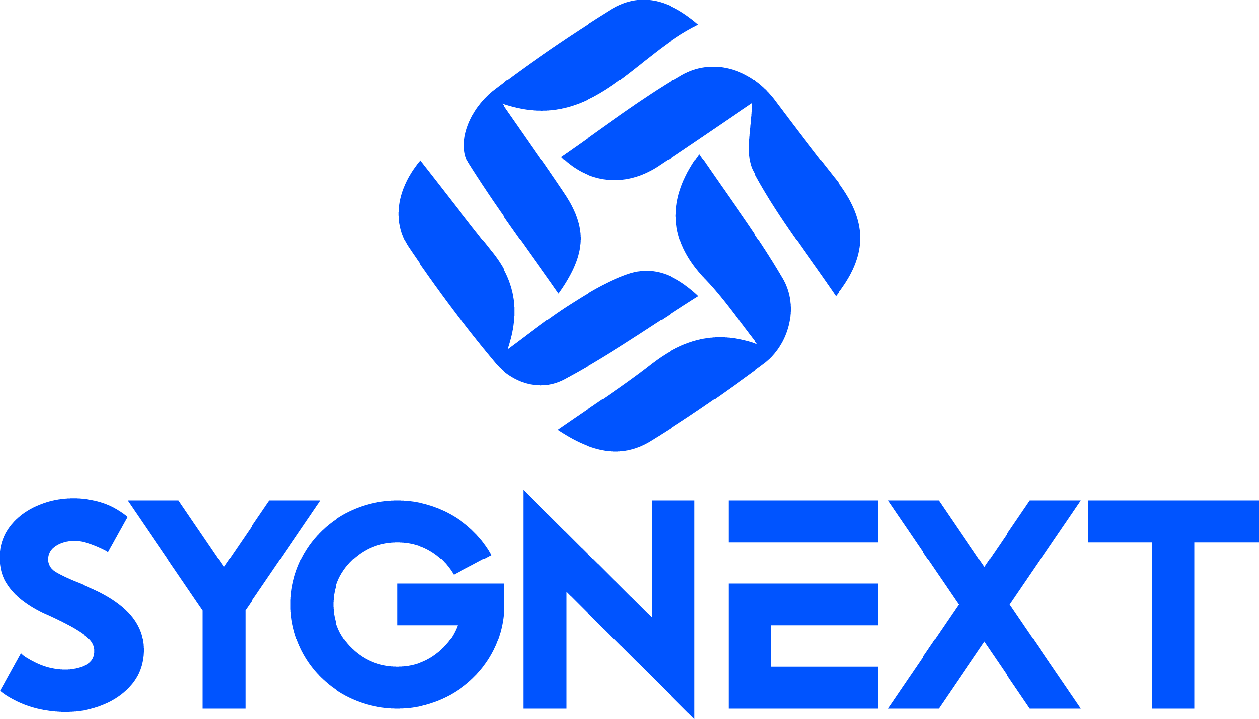 Sygnext Software Development Company